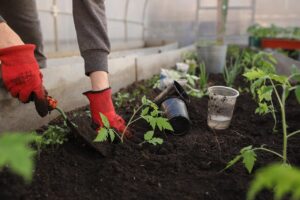 Read more about the article The Benefits of Urban Gardening: A Comprehensive Guide for City Dwellers