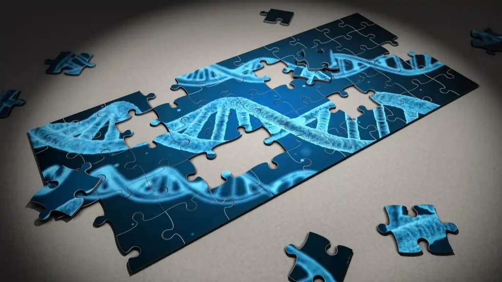 What Is Epigenetics