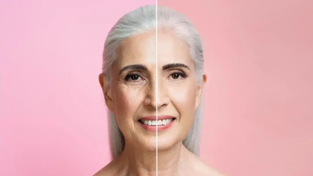 Cellular Aging and Longevity Research