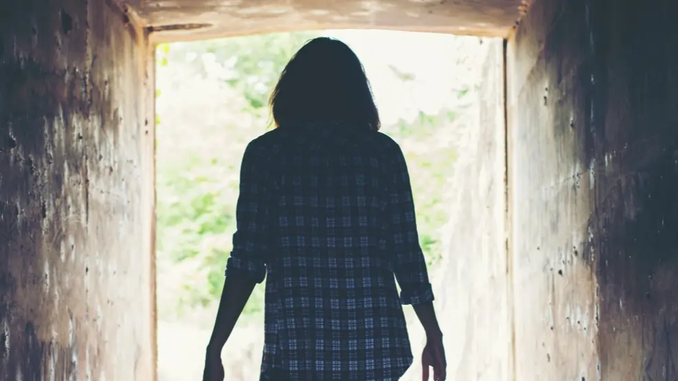 Read more about the article Gone Girl by Gillian Flynn